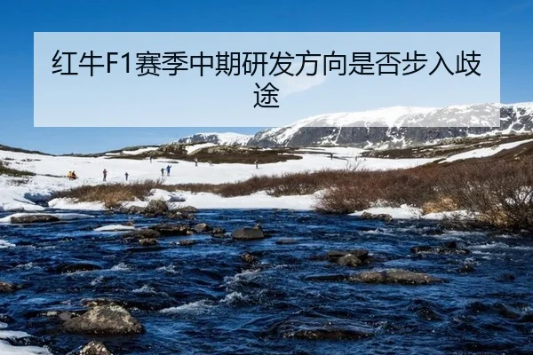 hong-niu-sai-ji-zhong-qi-yan-fa-fang-xiang-shi-fou-bu-ru-qi-tu-2-372.jpg